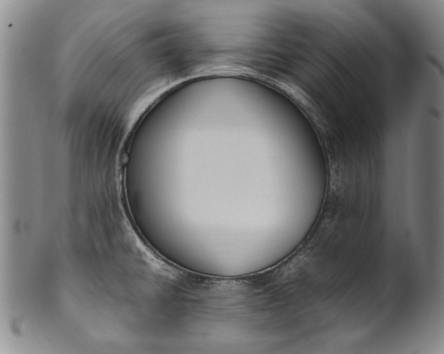 X0000102251430200808081400