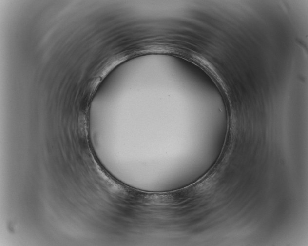 X0000102251433200808081400