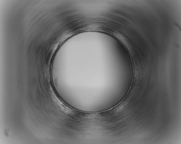 X0000102251434200808081401