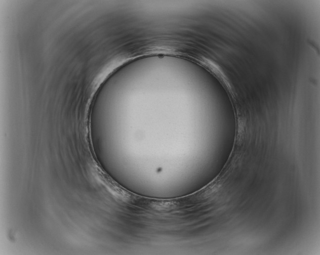 X0000102251435200808081401