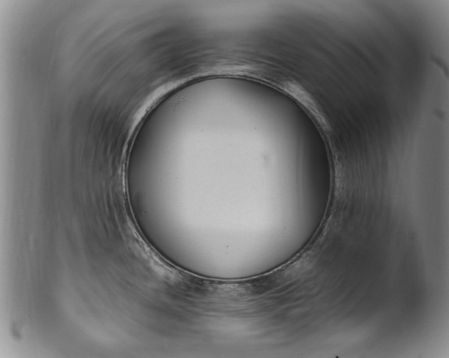 X0000102251436200808081401