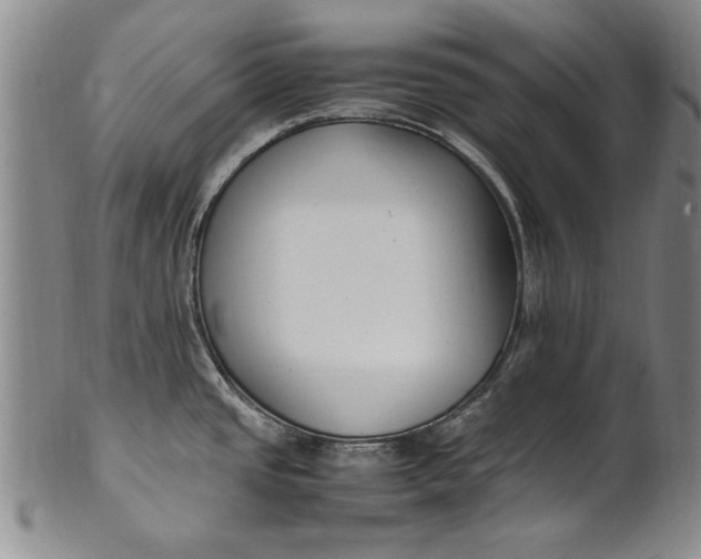 X0000102251437200808081401