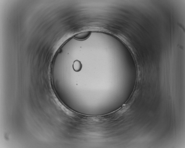 X0000102251438200808081401