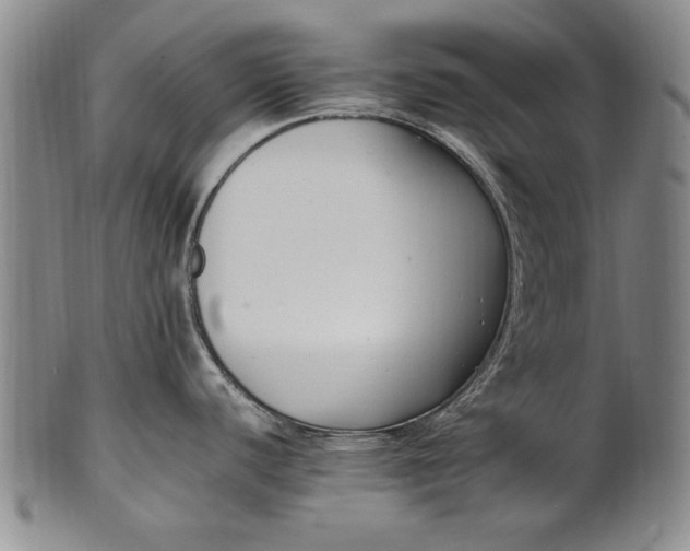 X0000102251440200808081401