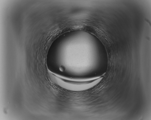 X0000102251441200808081400