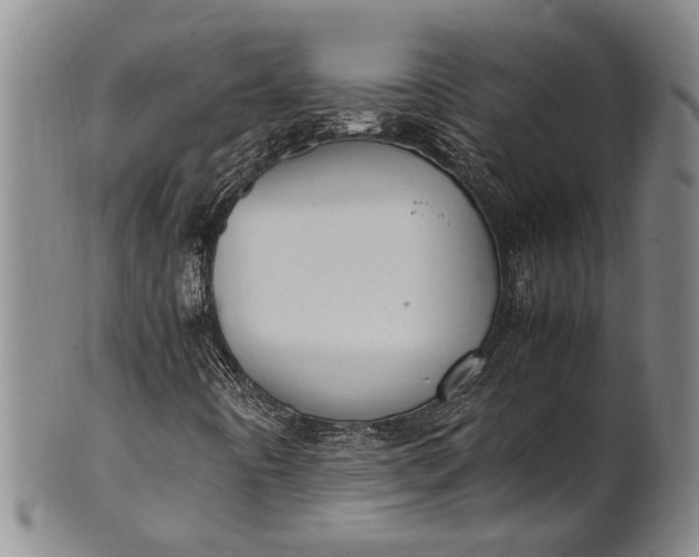 X0000102251442200808081400