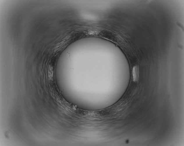 X0000102251443200808081400