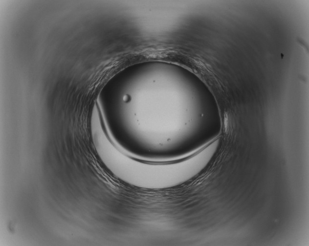 X0000102251444200808081400