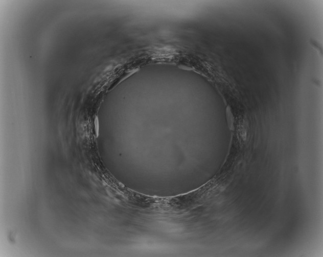 X0000102251445200808081400