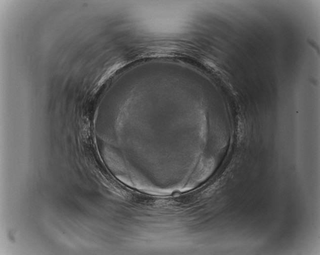 X0000102251449200808081359