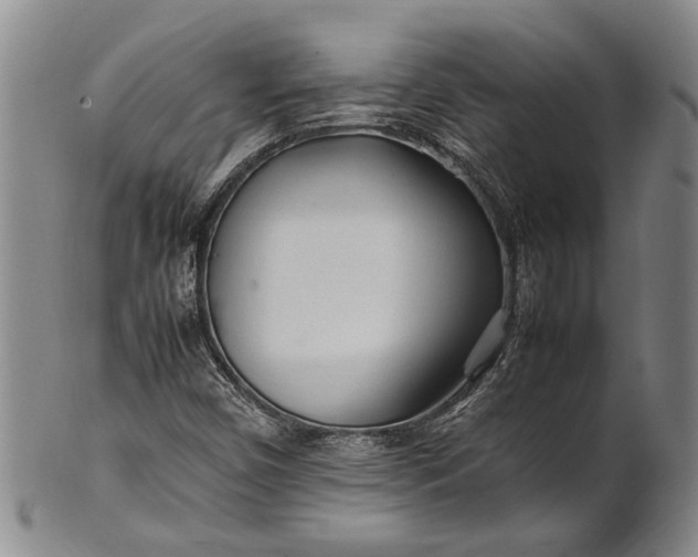 X0000102251450200808081359