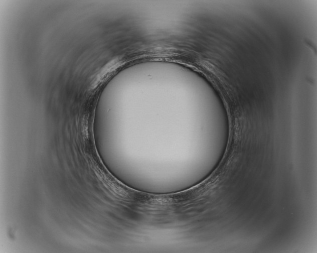 X0000102251451200808081359