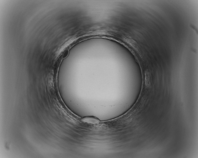 X0000102251452200808081359