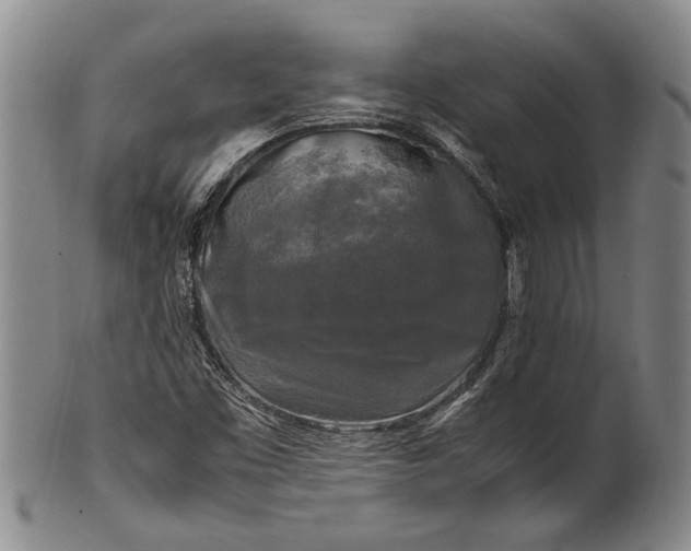 X0000102251453200808081359