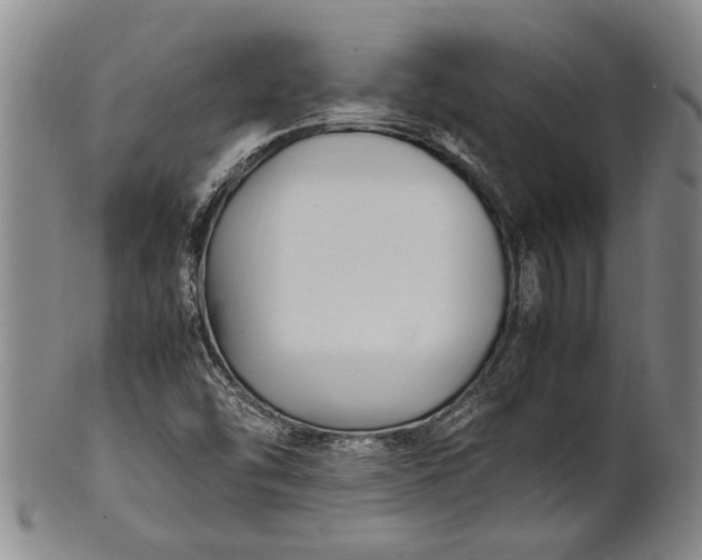 X0000102251454200808081359