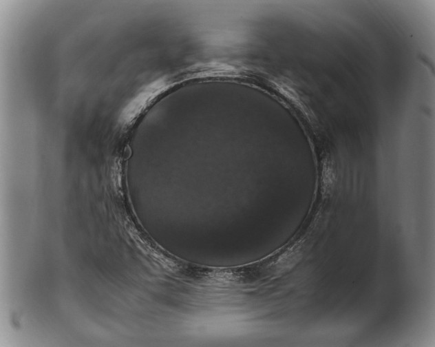 X0000102251455200808081359