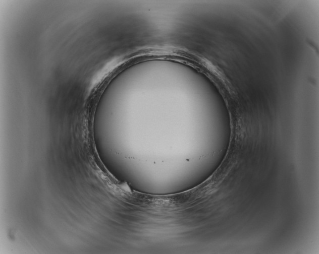 X0000102251456200808081359