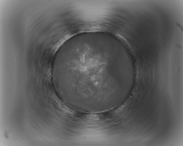 X0000102251457200808081359