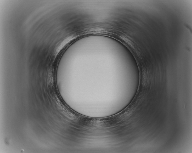 X0000102251458200808081359