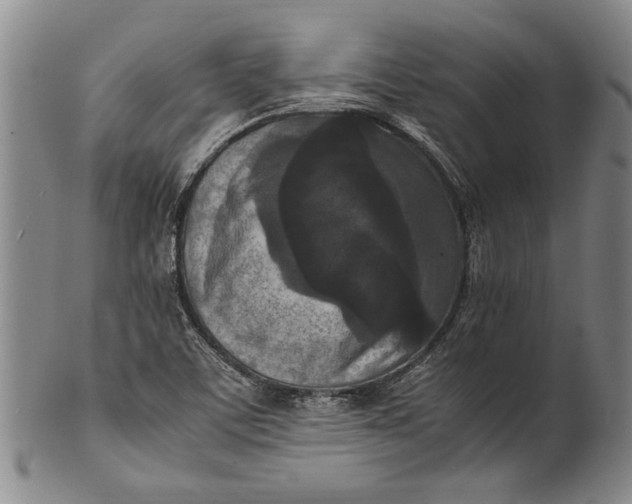 X0000102251459200808081359