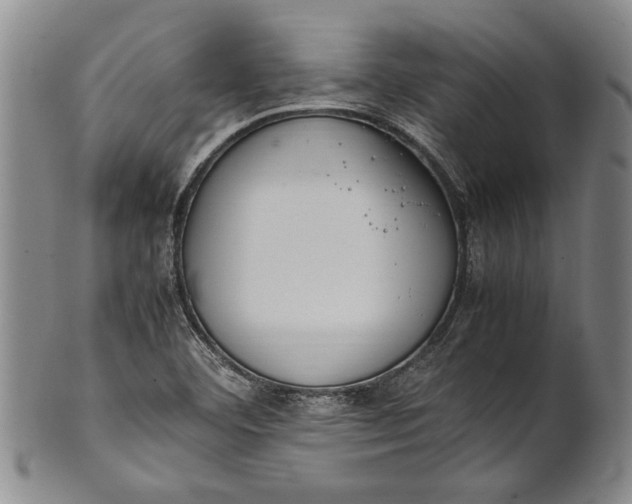 X0000102251460200808081359