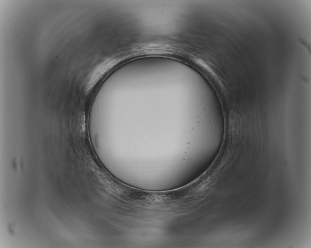 X0000102251461200808081359