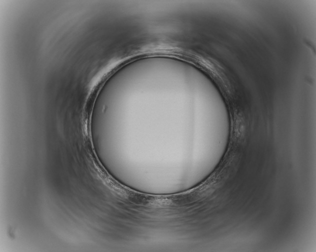 X0000102251462200808081359