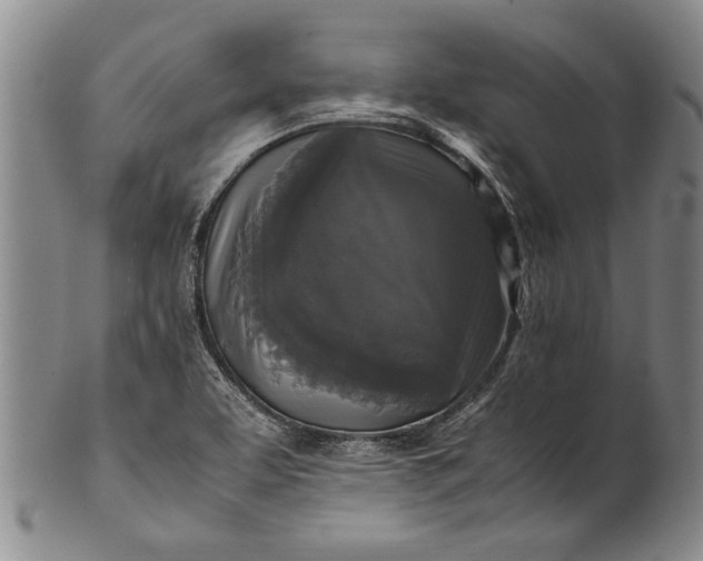 X0000102251463200808081359