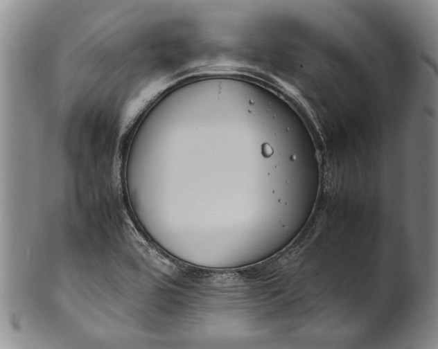 X0000102251464200808081359