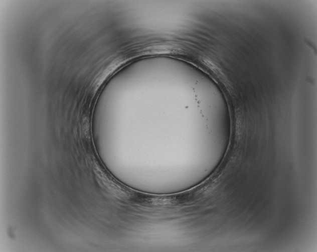 X0000102251465200808081359