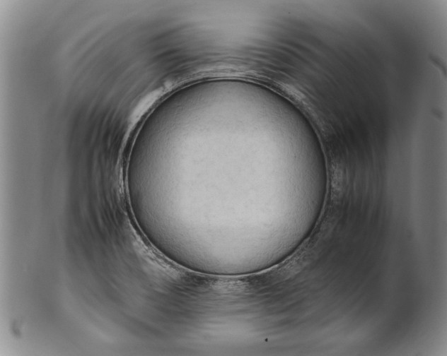 X0000102251466200808081359