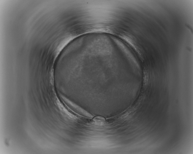 X0000102251468200808081359