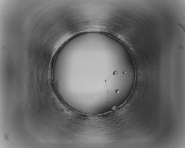 X0000102251469200808081359