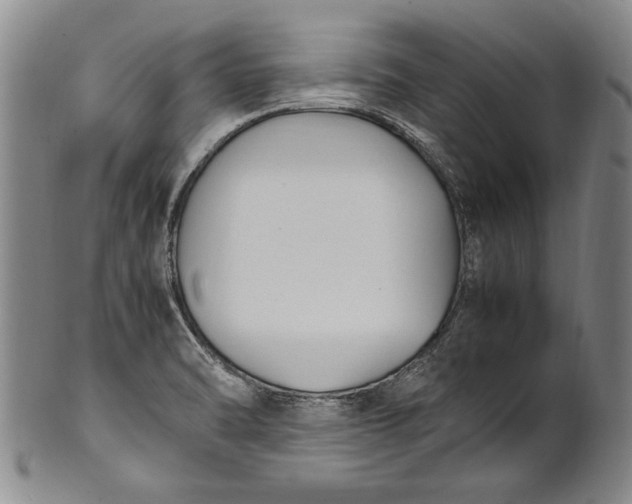 X0000102251470200808081359