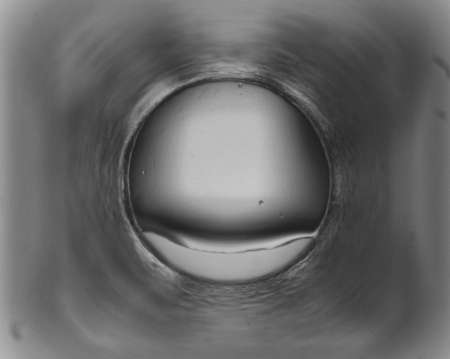 X0000102251471200808081359