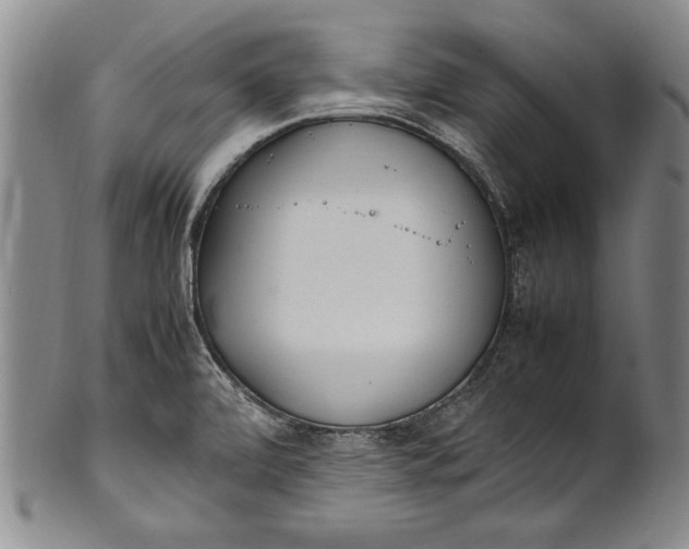 X0000102251472200808081359