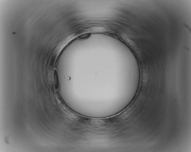 X0000102251473200808081359