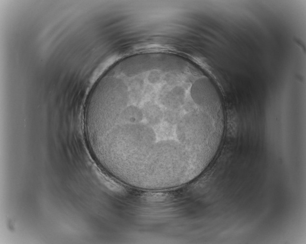 X0000102251474200808081359