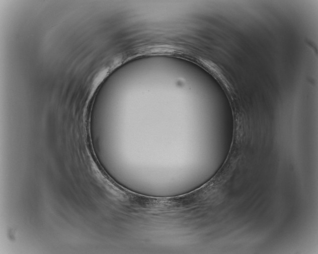 X0000102251475200808081359