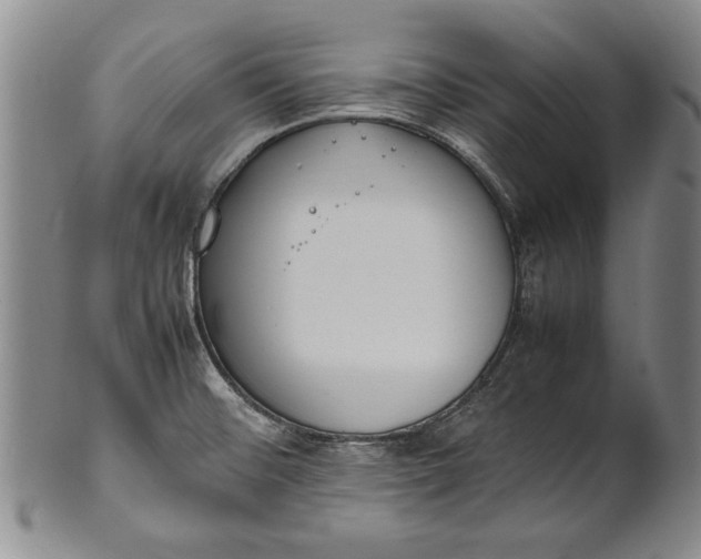 X0000102251476200808081359