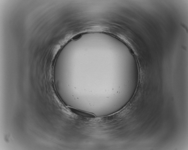 X0000102251477200808081359