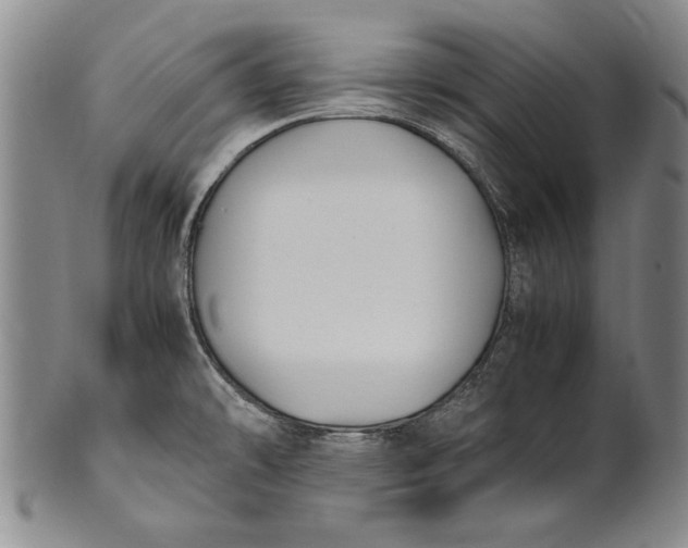 X0000102251478200808081359