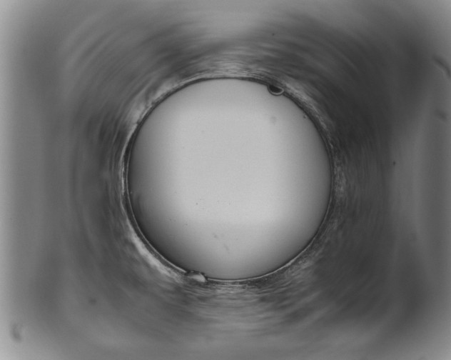 X0000102251479200808081359