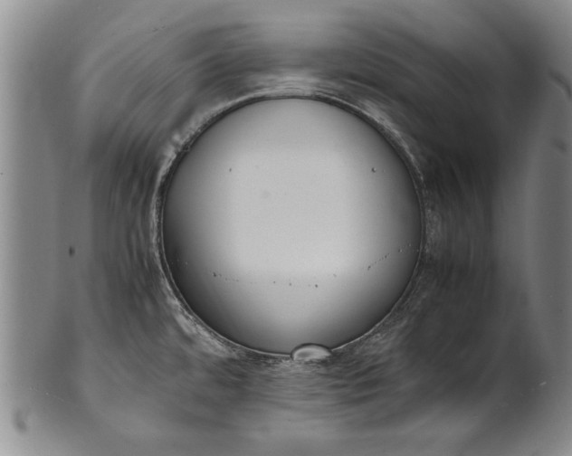 X0000102251480200808081359