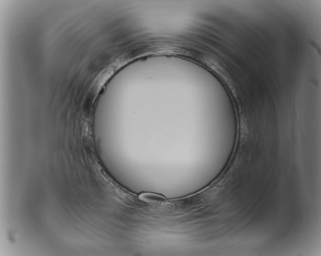 X0000102251481200808081359