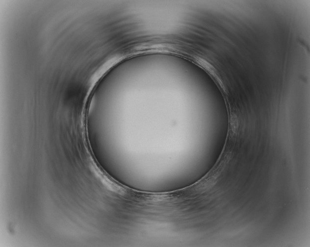 X0000102251482200808081359