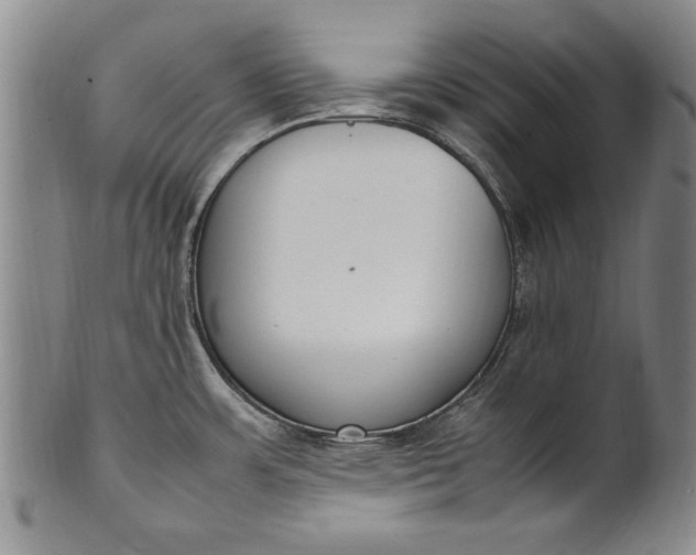 X0000102251483200808081359