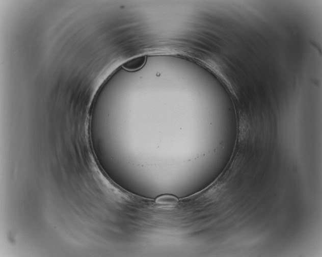 X0000102251484200808081359