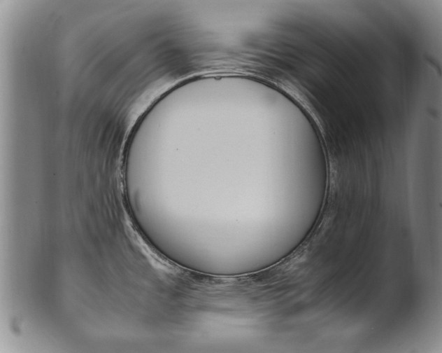 X0000102251485200808081359