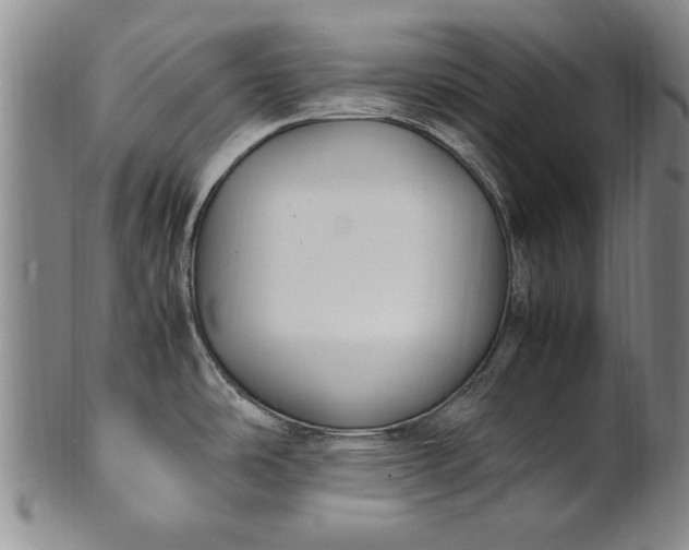 X0000102251486200808081359